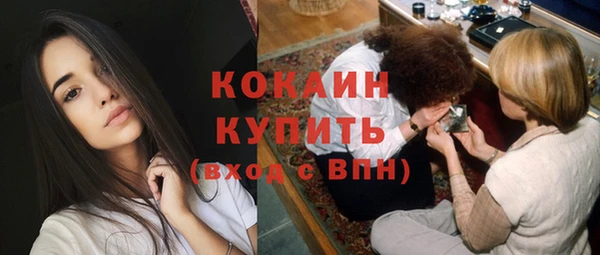 шишки Елабуга