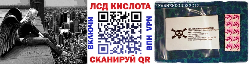 kraken как войти Курлово Марки N-bome 1500мкг где купить наркоту