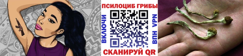 Псилоцибиновые грибы прущие грибы  Курлово 
